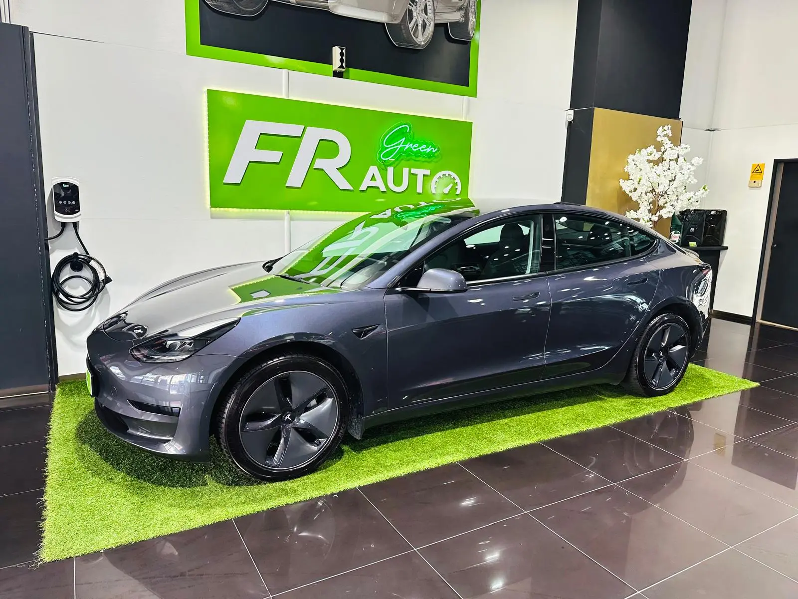 Tesla Model 3 Standard RWD Plus 3