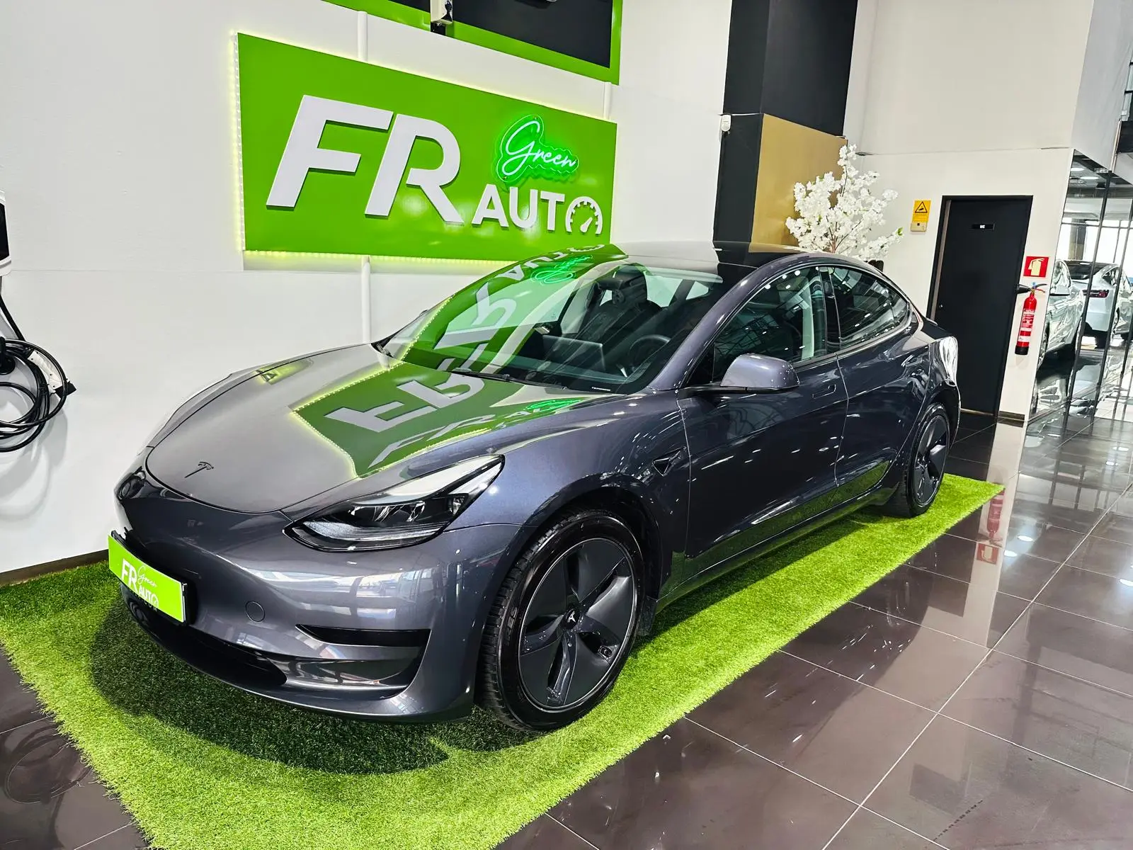 Tesla Model 3 Standard RWD Plus 2
