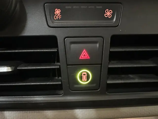 BMW i3 (60 Ah) 16