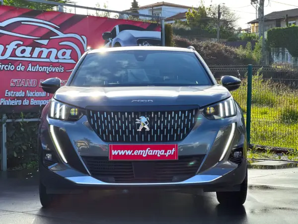 Peugeot 2008 1.5 BlueHDi GT 4