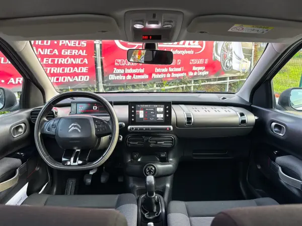 Citroën C4 Cactus 1.6 BlueHDi Rip Curl 2