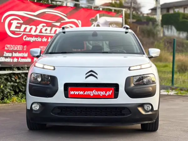 Citroën C4 Cactus 1.6 BlueHDi Rip Curl 3