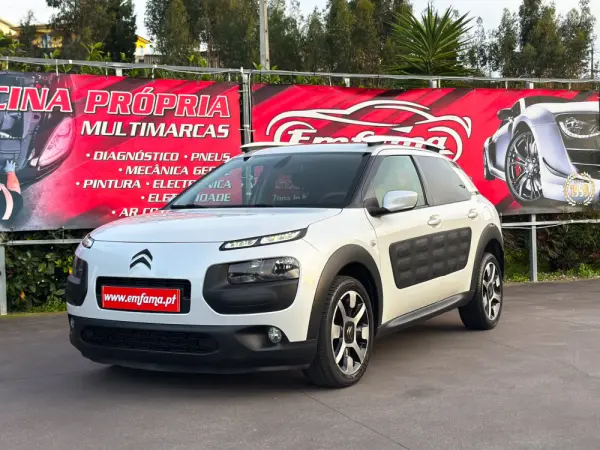 Citroën C4 Cactus 1.6 BlueHDi Rip Curl 4