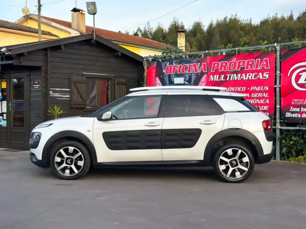 Citroën C4 Cactus 1.6 BlueHDi Rip Curl 5
