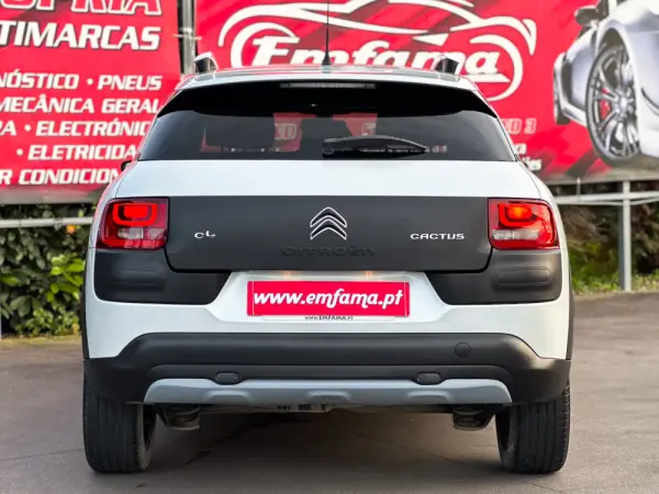 Citroën C4 Cactus 1.6 BlueHDi Rip Curl 7