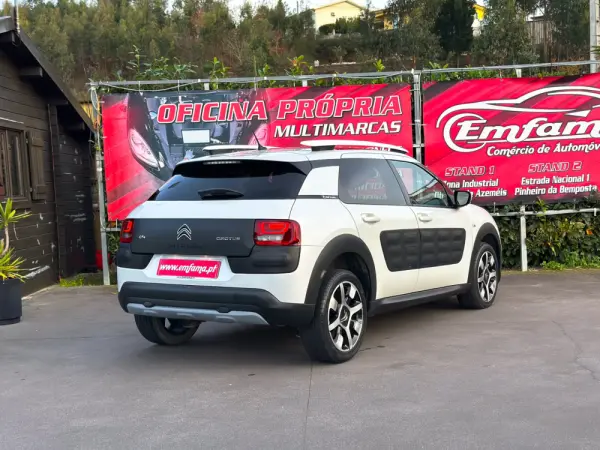 Citroën C4 Cactus 1.6 BlueHDi Rip Curl 8