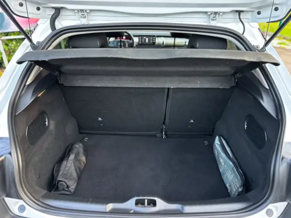 Citroën C4 Cactus 1.6 BlueHDi Rip Curl 11