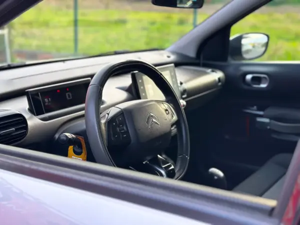 Citroën C4 Cactus 1.6 BlueHDi Rip Curl 12