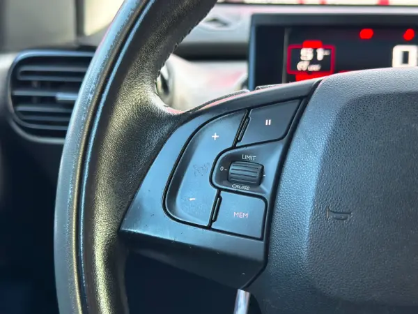 Citroën C4 Cactus 1.6 BlueHDi Rip Curl 15