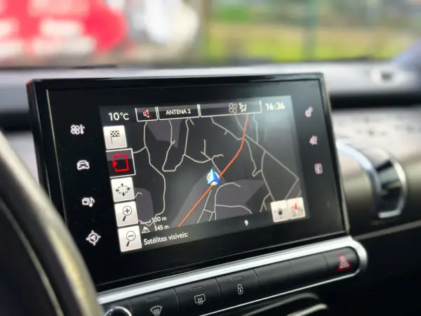 Citroën C4 Cactus 1.6 BlueHDi Rip Curl 17