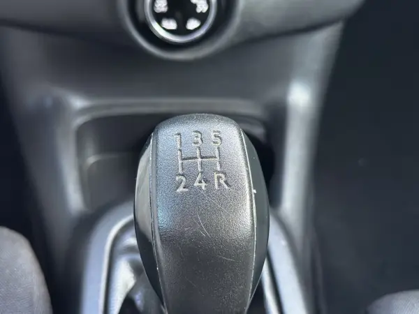 Citroën C4 Cactus 1.6 BlueHDi Rip Curl 19