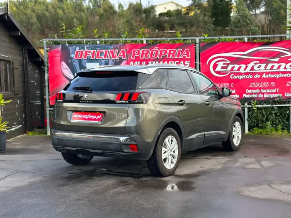 Peugeot 3008 1.6 BlueHDi Access 8