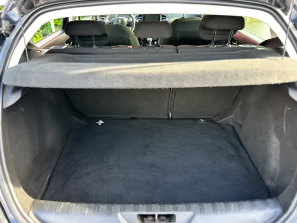 Peugeot 308 1.6 BlueHDi Access 11