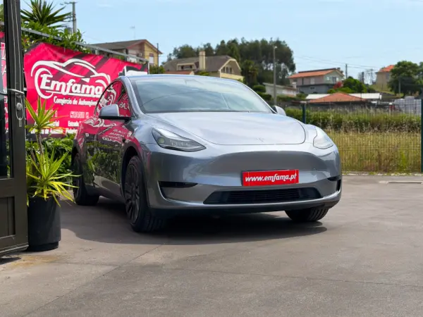 Tesla Model Y Standard 11