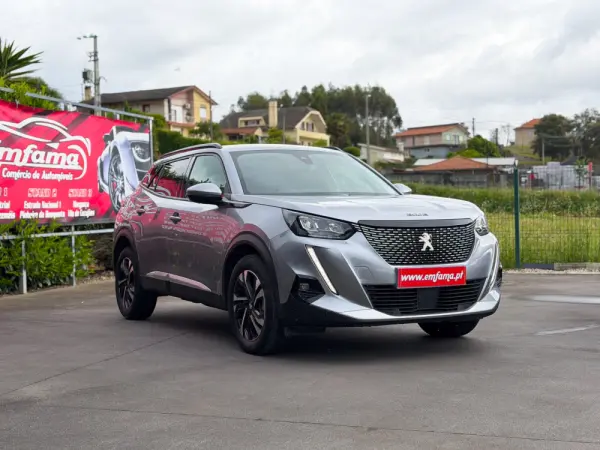 Peugeot 2008 1.5 BlueHDi Active Pack 11