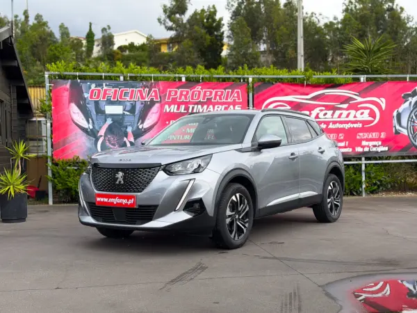 Peugeot 2008 1.5 BlueHDi Active Pack 5