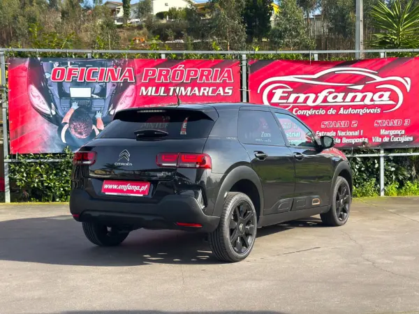 Citroën C4 Cactus 1.5 BlueHDi Feel 9