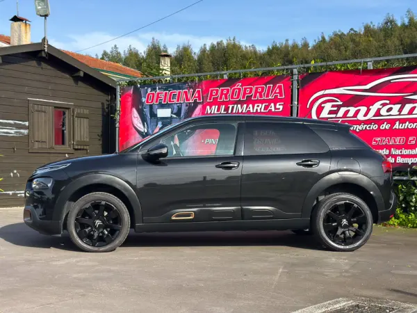 Citroën C4 Cactus 1.5 BlueHDi Feel 6