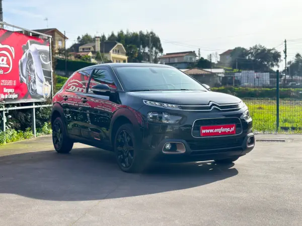 Citroën C4 Cactus 1.5 BlueHDi Feel 11