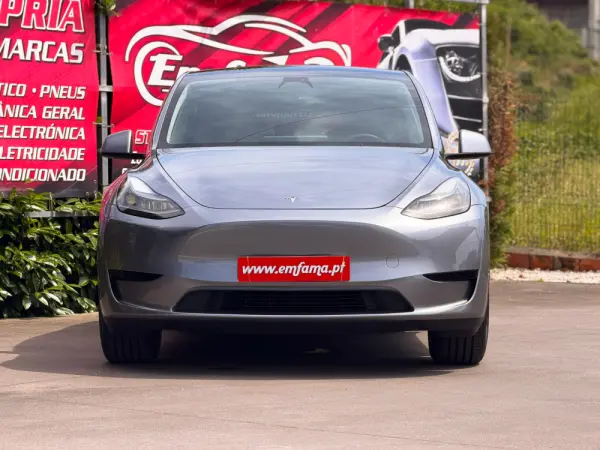 Tesla Model Y Standard 4