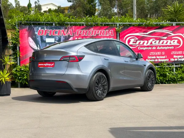 Tesla Model Y Standard 9