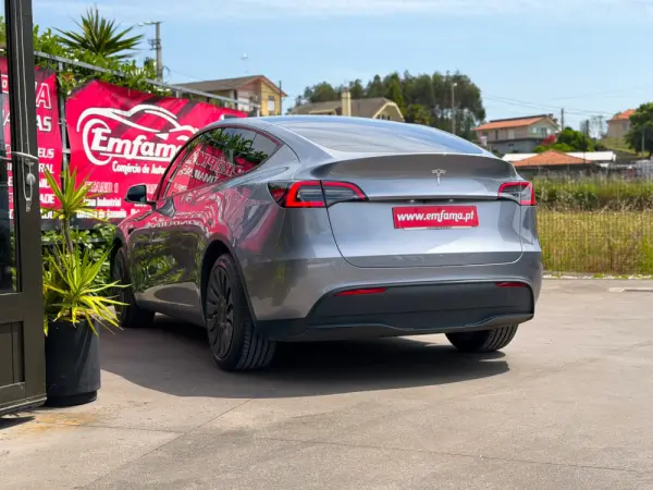 Tesla Model Y Standard 7