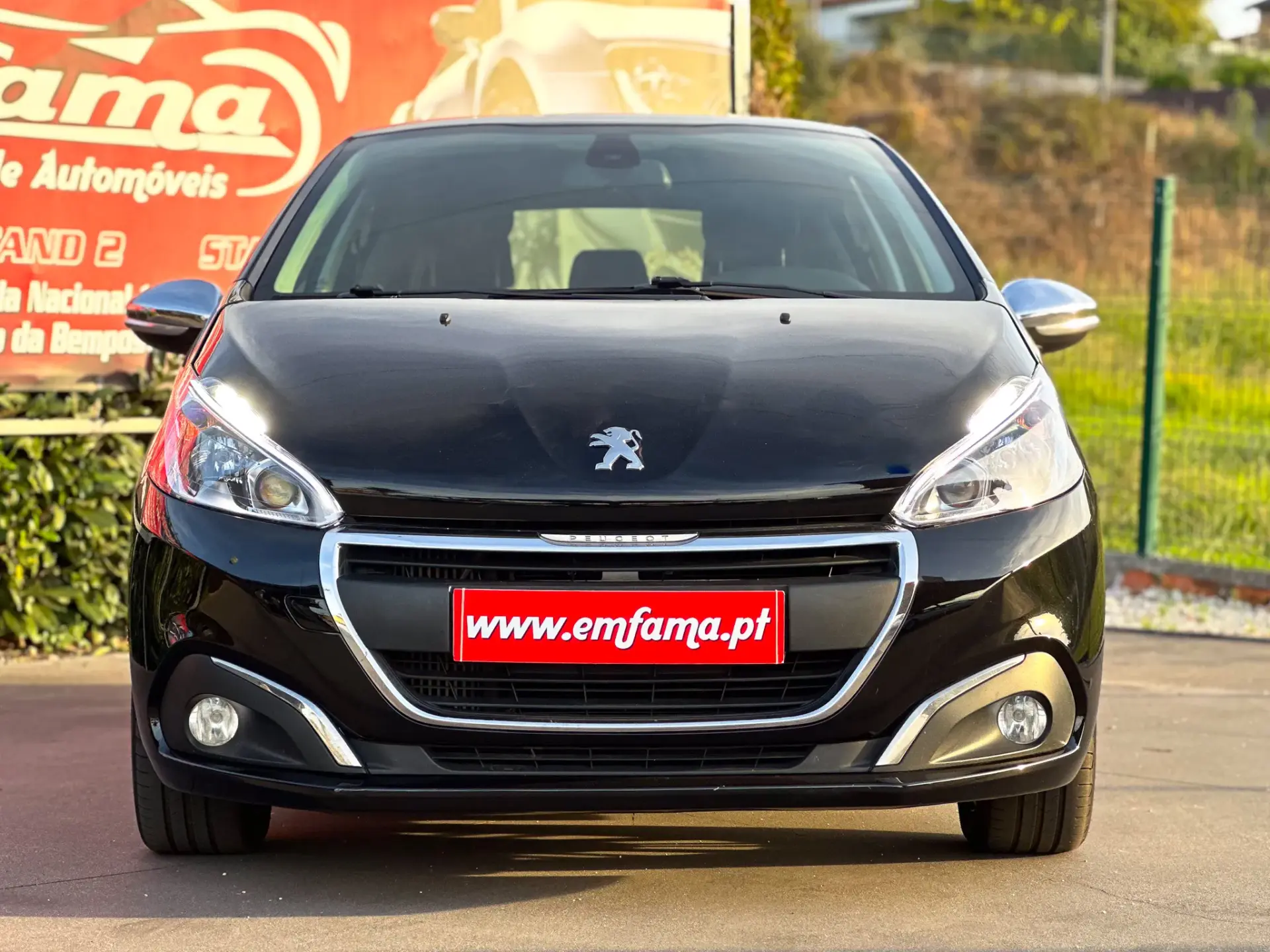 Peugeot 208 1.6 BlueHDi Style 4