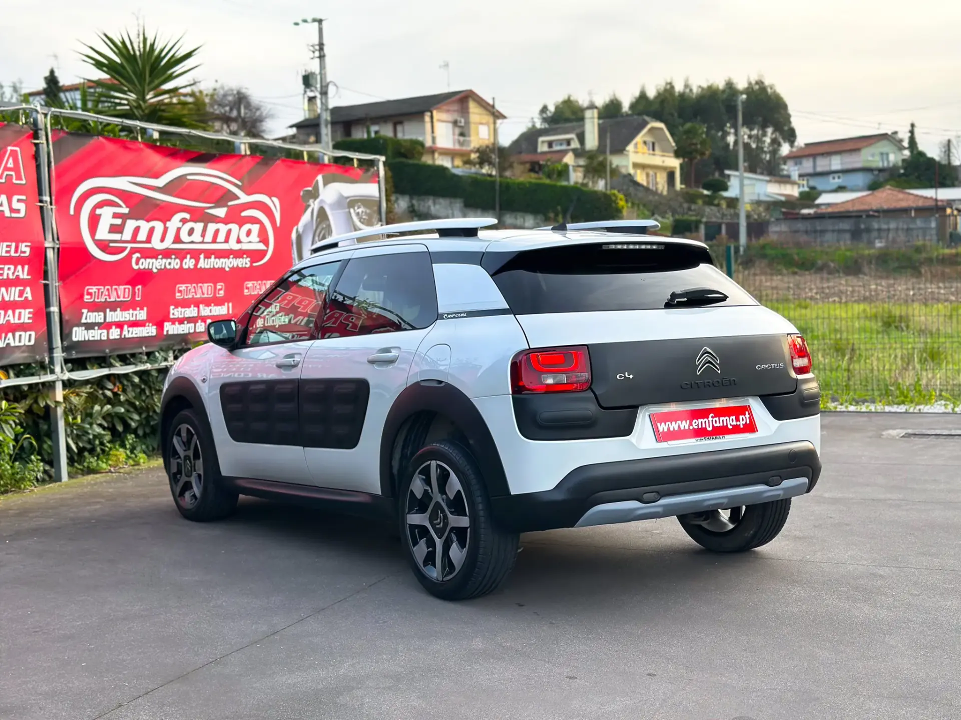 Citroën C4 Cactus 1.6 BlueHDi Rip Curl 6