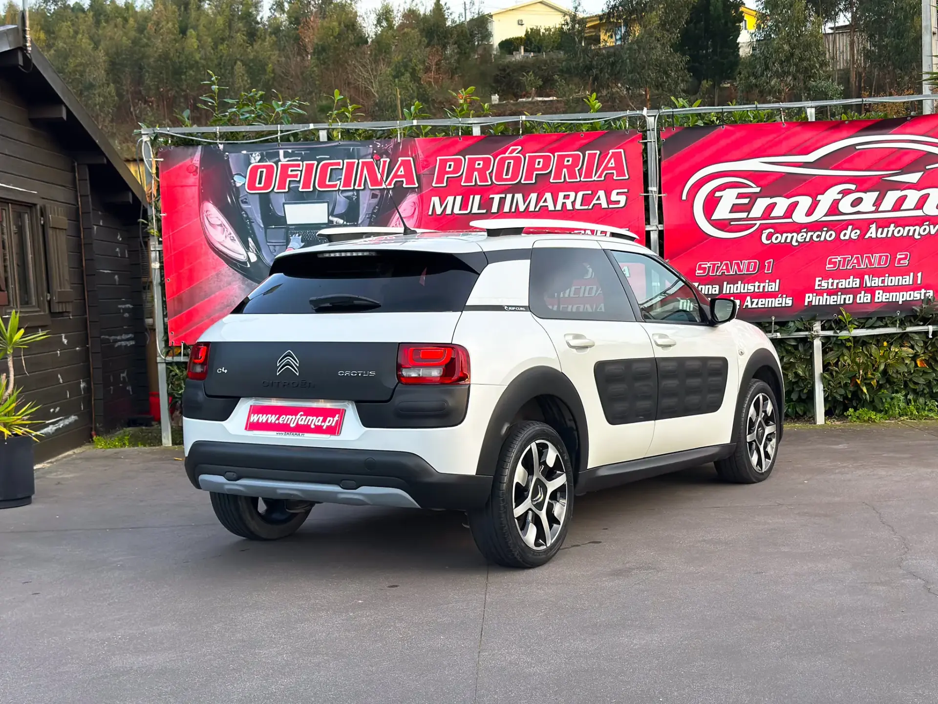 Citroën C4 Cactus 1.6 BlueHDi Rip Curl 8