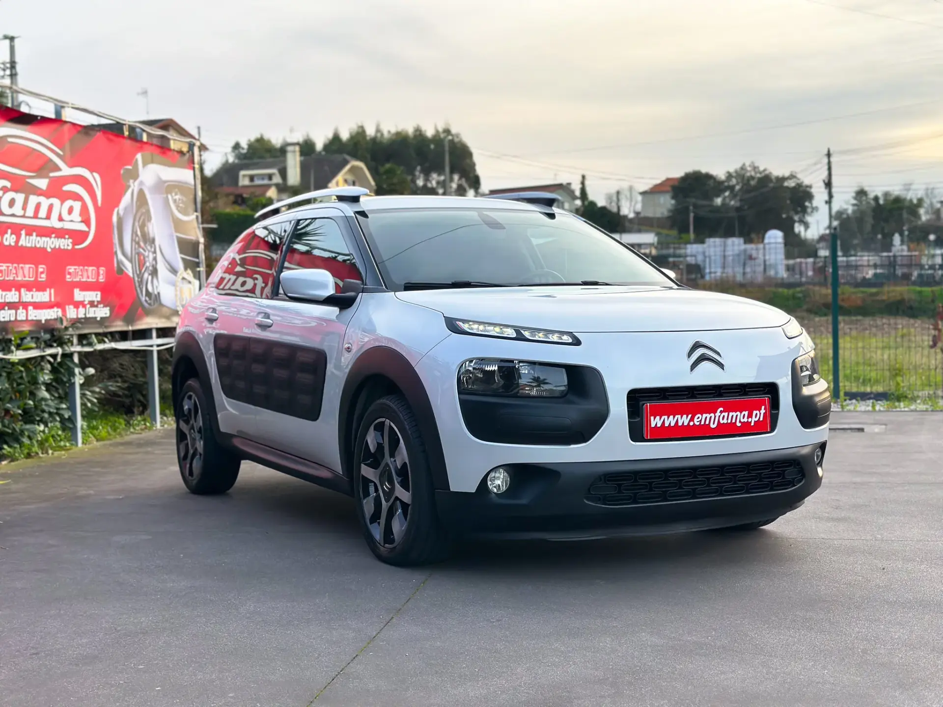 Citroën C4 Cactus 1.6 BlueHDi Rip Curl 10
