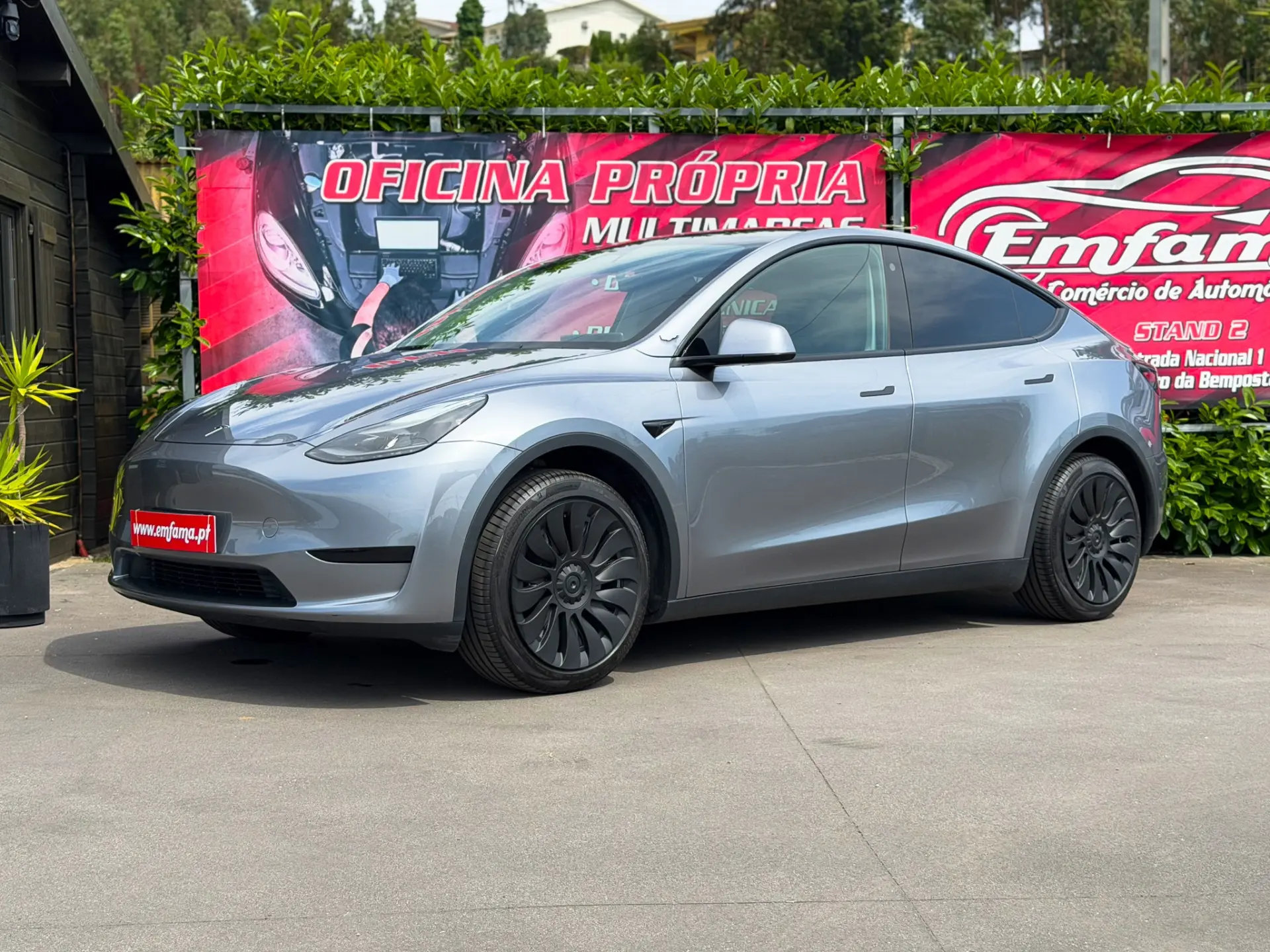 Tesla Model Y Standard 5