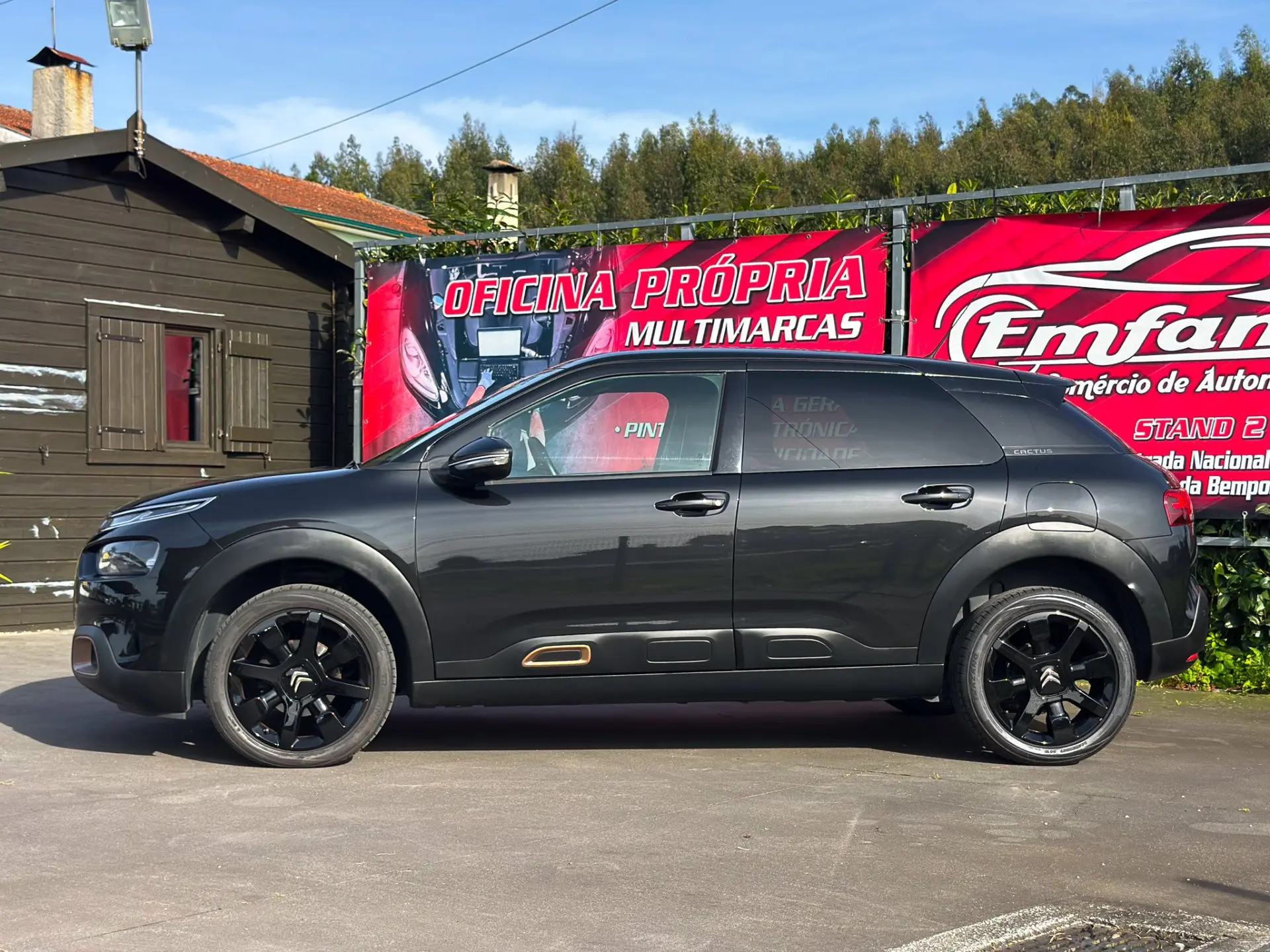 Citroën C4 Cactus 1.5 BlueHDi Feel 6