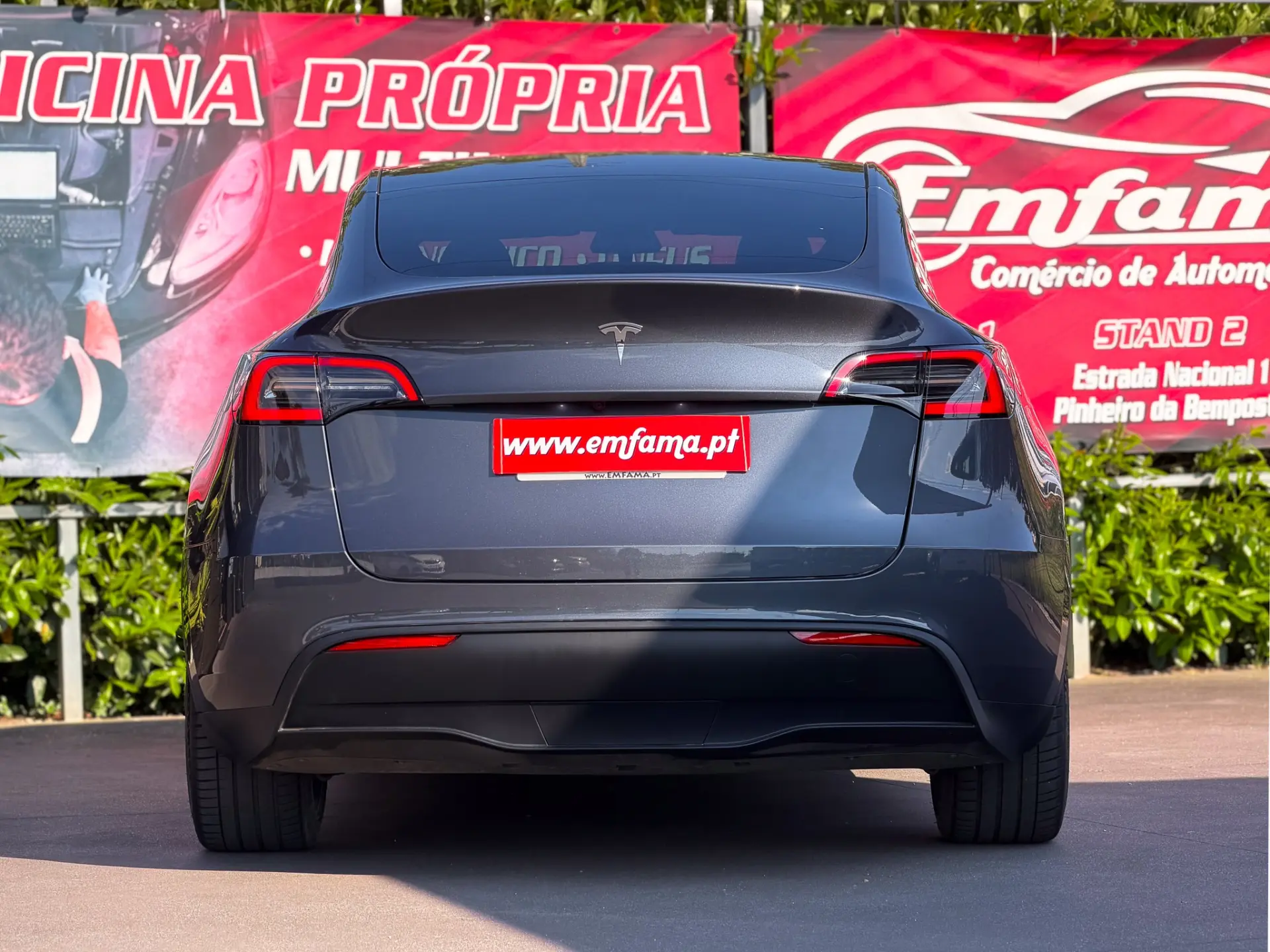 Tesla Model Y Tração Traseira 8