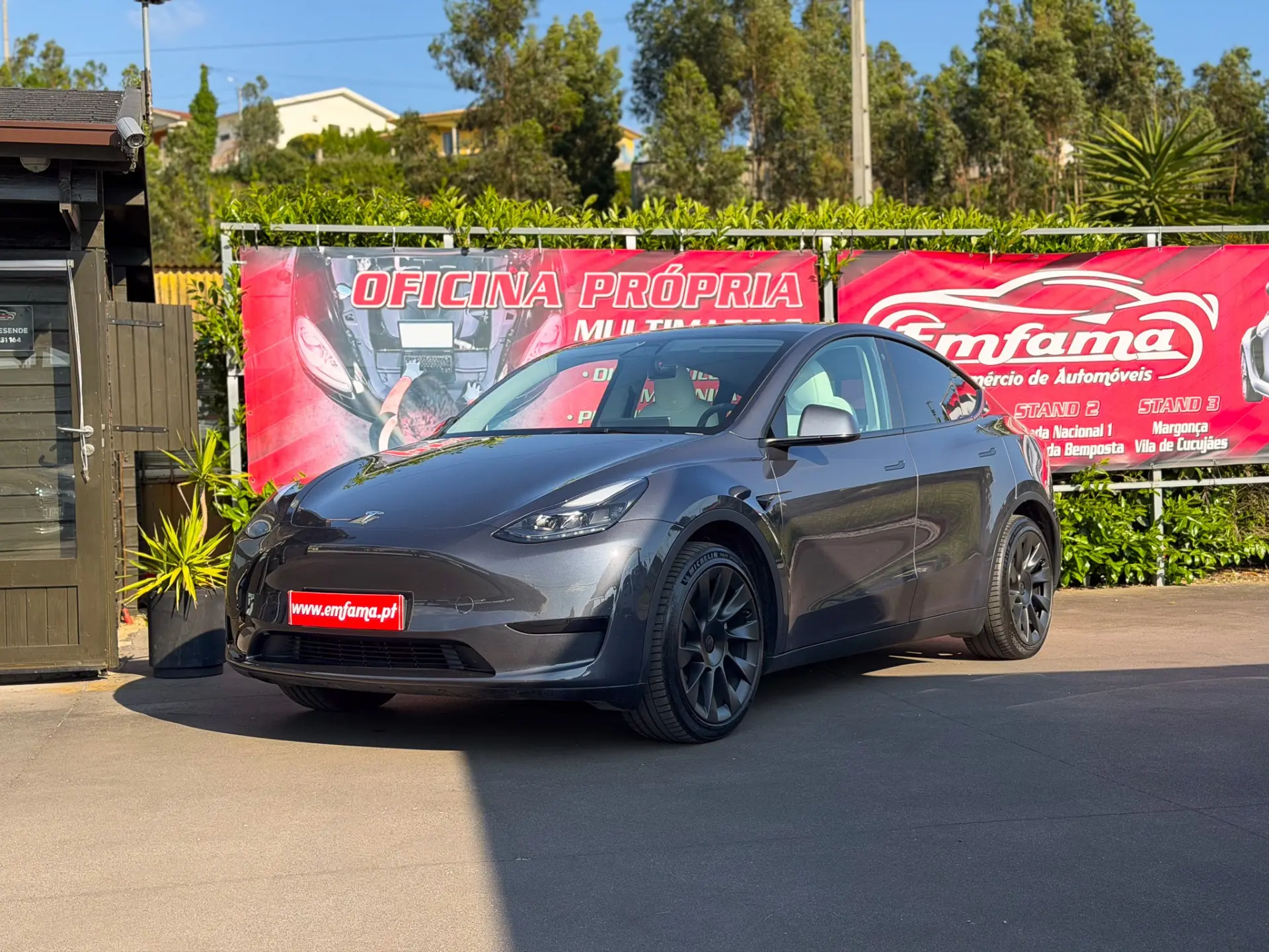 Tesla Model Y Tração Traseira 5
