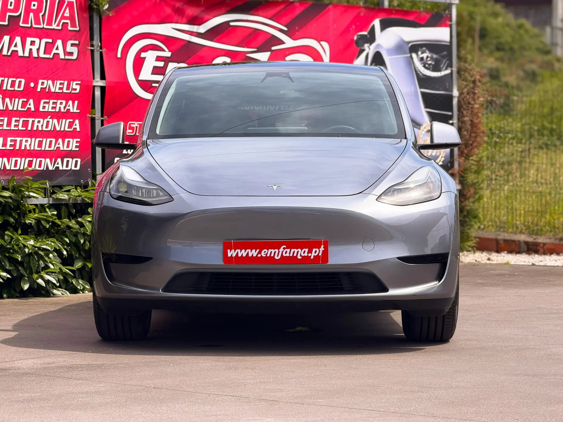Tesla Model Y Standard 4