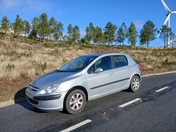 Peugeot 307 1.4 16V Executive 4