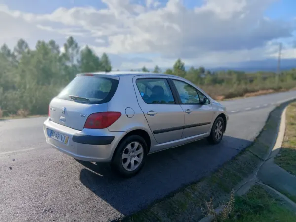 Peugeot 307 1.4 16V Executive 6