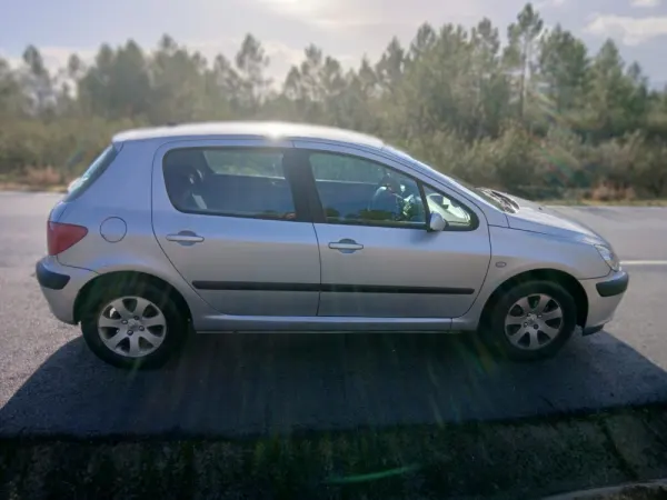 Peugeot 307 1.4 16V Executive 2