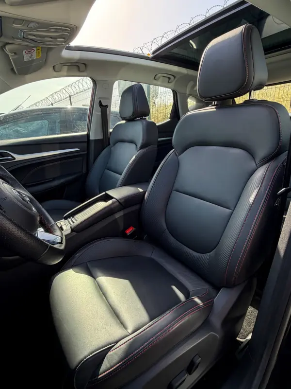 MG ZS Maximal Luxury 8