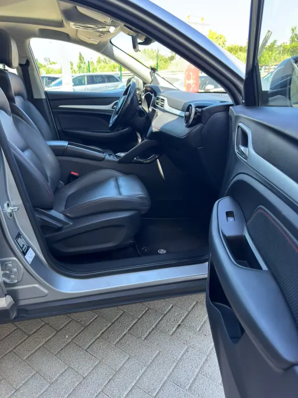 MG ZS Maximal Luxury 13