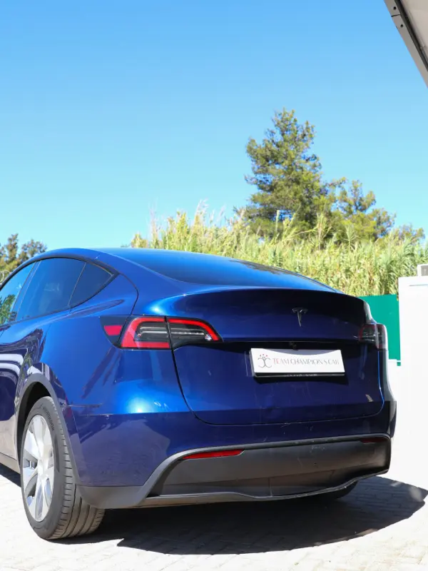Tesla Model Y Standard RWD 6