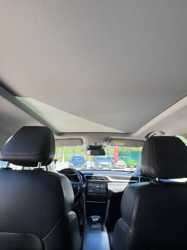 MG ZS Maximal Luxury 16