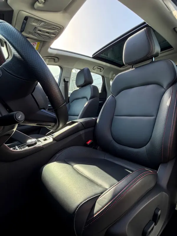 MG ZS Maximal Luxury 9