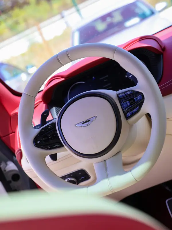 Aston Martin DBX 4.0 Twin-Turbo V8 9
