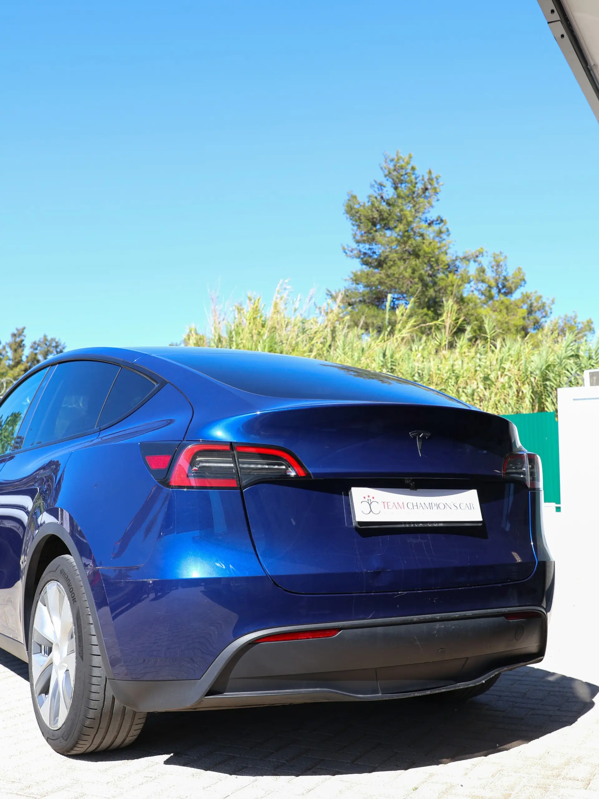 Tesla Model Y Standard RWD 6