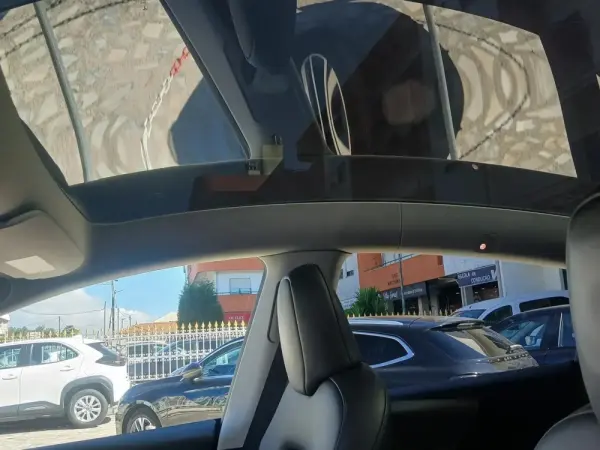 Tesla Model Y Performance Dual Motor AWD 20