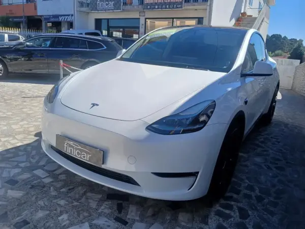 Tesla Model Y Performance Dual Motor AWD 23