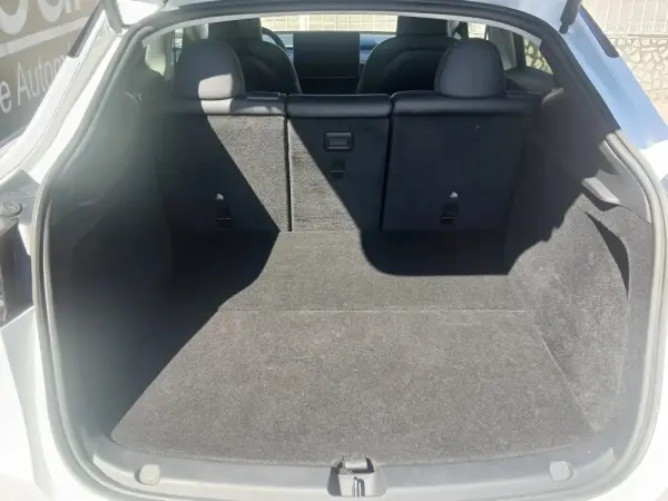 Tesla Model Y Performance Dual Motor AWD 31