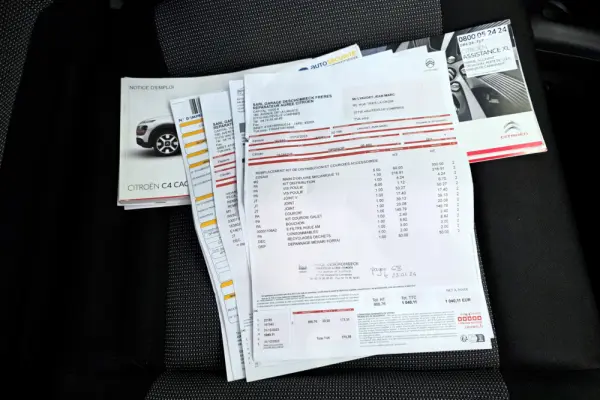 Citroën C4 Cactus Pure Tech 110 Stop&Start Shine Edition 26