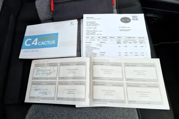 Citroën C4 Cactus 1.2 PureTech Origins 22